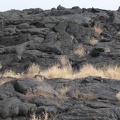 Lava-Landschaft mit Gräsern