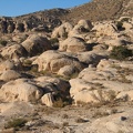 Landschaft mit Sandstein-Felsbuckeln