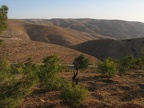 Blick vom Berg Nebo (Khirbet el-Mekhayat, es-Syagha) Richtung Südosten