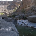 Gumpe im Wadi Dahm, mit Schwimmer