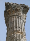 Zeus-Tempel, Säule