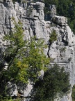 Felsklippen am Rande der Chassezac-Schlucht