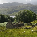 Haus-Ruine oberhalb Loch Morar