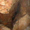 In der Lamprechtshöhle bei Lofer