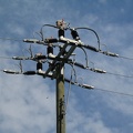 Strom-Mast in Turtmann