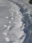 Spuren im Schnee