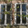 Gerolzhofen, Marktplatz Nr. 9, weinumranktes Fenster